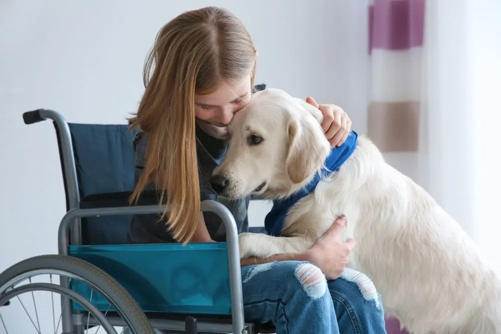 I benefici scientificamente provati della vicinanza degli animali su anziani, bambini e ospedali