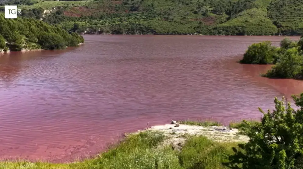 Lago Dirillo si tinge di rosso magenta: spettacolo naturale tra Catania e Ragusa