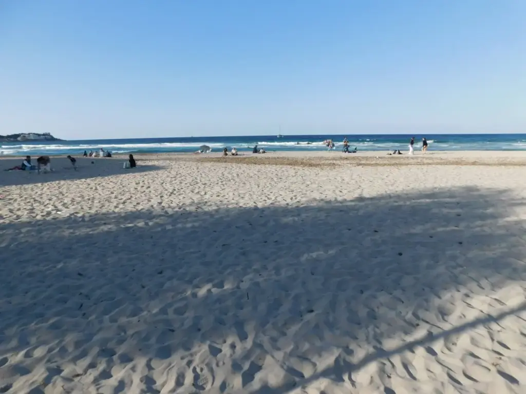 Mondello, Legambiente, WWF e Libera: “Subito spiaggia libera e stop al regime delle concessioni”