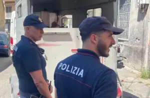Catania, scoperti e sequestrati tre pony nascosti in un immobile pericolante