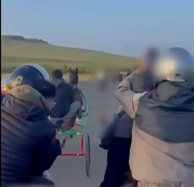 Corsa clandestina tra cavalli nel catanese: due denunciati, sequestrati i puledri