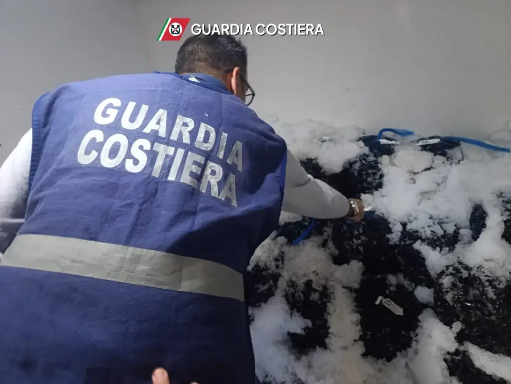 Blitz Guardia Costiera: sequestrati 1500 ricci e pesce non tracciato