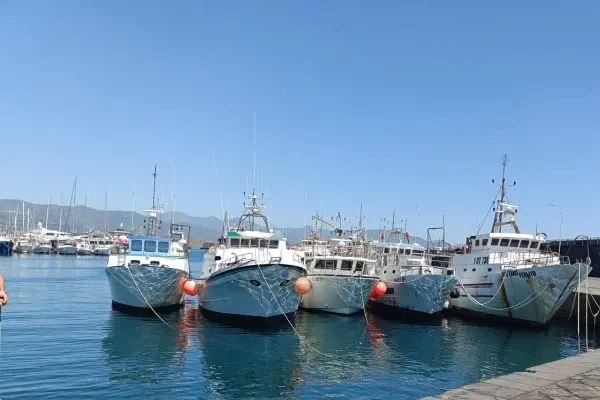 Pesca, svolta UE sul caro gasolio: fino al 70% di aiuti, il ruolo degli armatori siciliani