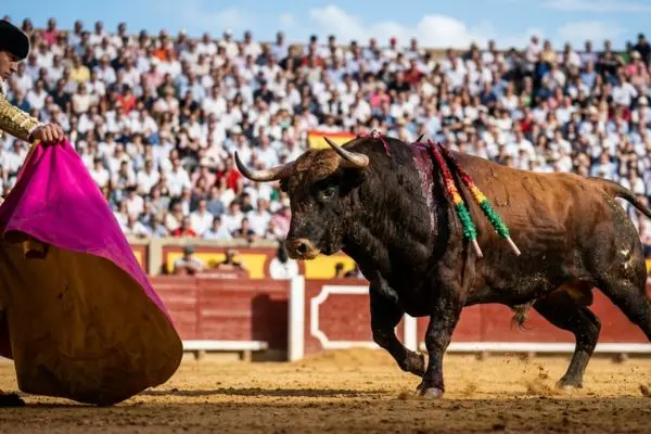 Abolizione della corrida: dove si pratica ancora oggi