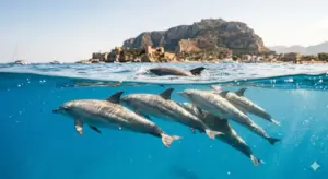 I delfini si danno dei “nomi”: come funziona il linguaggio tra loro
