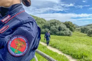 Tenevano 16 cani in condizioni pessime in casa: coppia denunciata