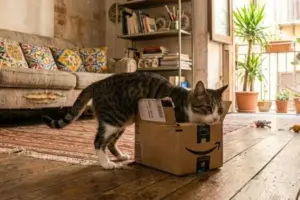 Perché i gatti entrano sempre nei posti più scomodi