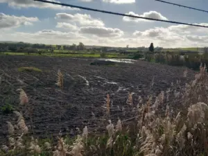 Terreni allagati, CNA Trapani a fianco degli agricoltori: “Compromessa la semina di grano e cereali. Situazione insostenibile”