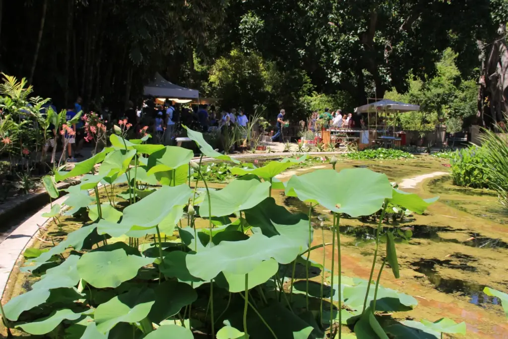 Torna la Zagara di primavera all’Orto Botanico di Palermo