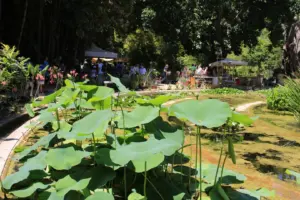 Torna la Zagara di primavera all’Orto Botanico di Palermo