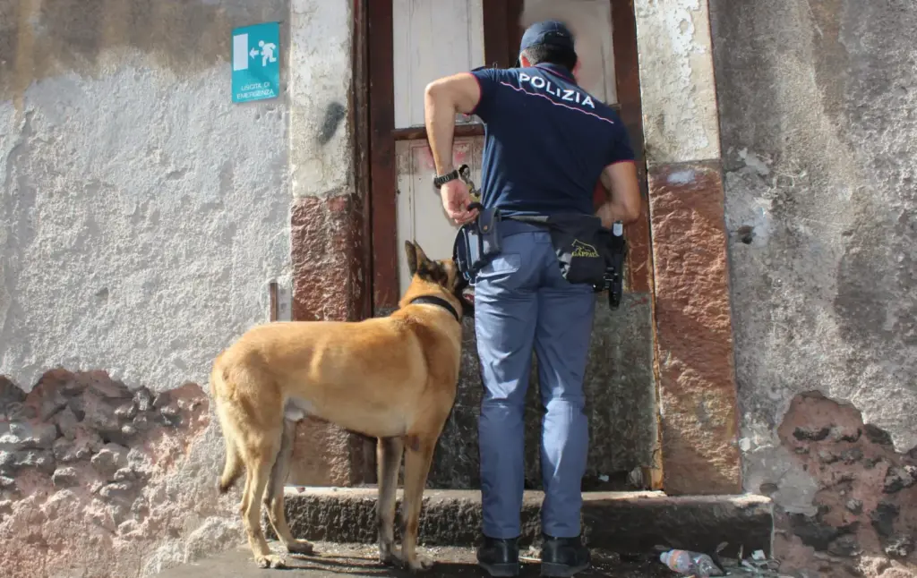 Catania, 18enne arrestato: droga in casa e una bomba carta nascosta nel comodino