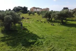 Selinunte Estate 2026, oltre 200 artisti e 56 eventi tra musica, teatro e cultura
