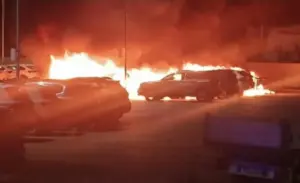 Palermo, nuovo  incendio nella notte al deposito Sicily by Car: distrutti 11 mezzi