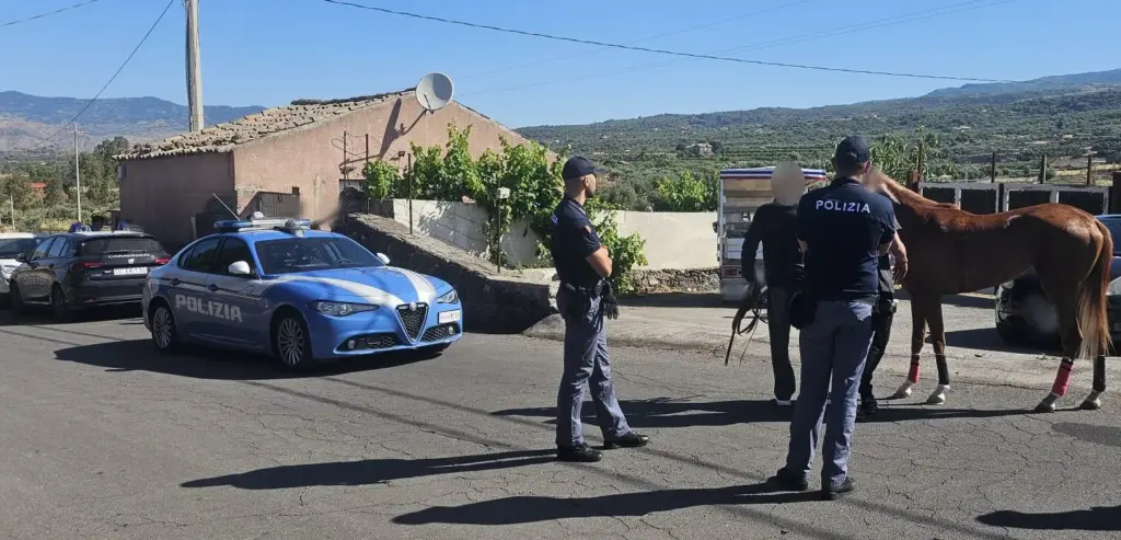 Contrasto alle corse clandestine di cavalli: operazione interforze nel catanese
