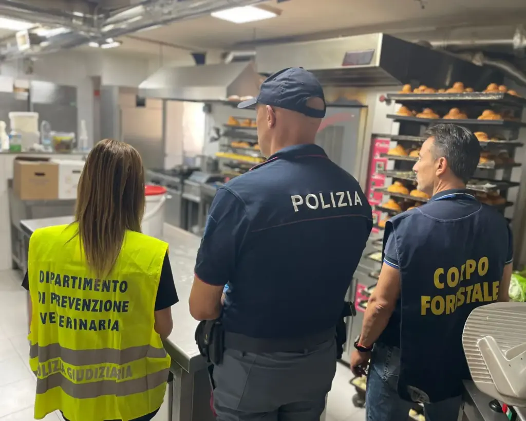 Controlli interforze a Catania, sequestri e sanzioni in un bar di viale Mario Rapisardi