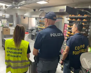 Controlli interforze a Catania, sequestri e sanzioni in un bar di viale Mario Rapisardi