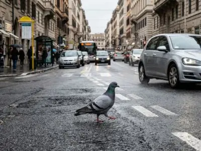 Gli uccelli urbani stanno diventando più intelligenti? Ecco gli indizi