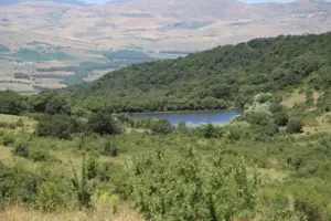 Sicilia tra le regioni meno boschive d’Italia: foreste concentrate soprattutto nel Messinese