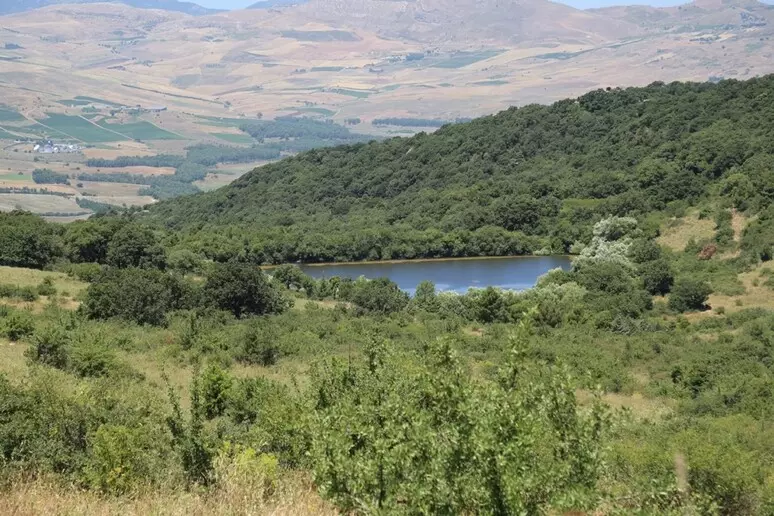 Sicilia tra le regioni meno boschive d’Italia: foreste concentrate soprattutto nel Messinese