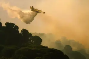 Sicilia in fiamme: decine di incendi da un capo all’altro dell’Isola
