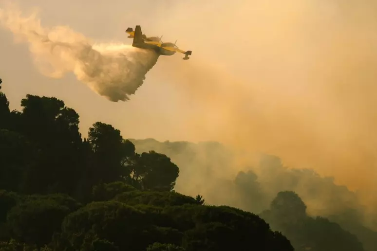 Sicilia in fiamme: decine di incendi da un capo all’altro dell’Isola