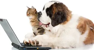 Cani e gatti sui social: quando diventano più famosi dei loro padroni