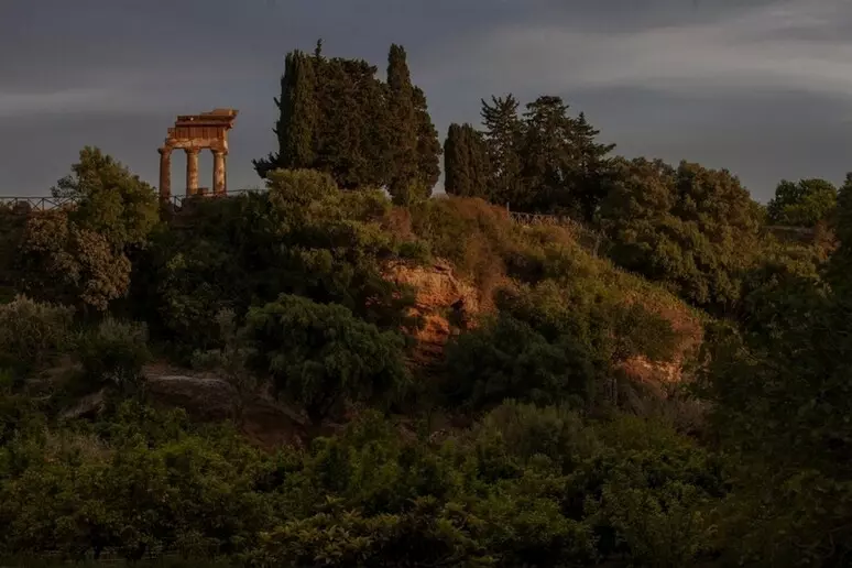 Valle dei Templi, tornano le Sere FAI d’Estate tra musica, natura e cultura