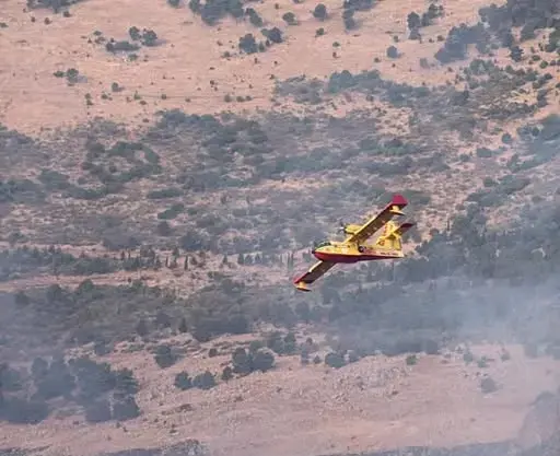 Incendi in Sicilia: settimo giorno di emergenza, fiamme da Palermo a Catania