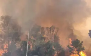Incendi. Legambiente Sicilia chiede l’intervento dell’esercito