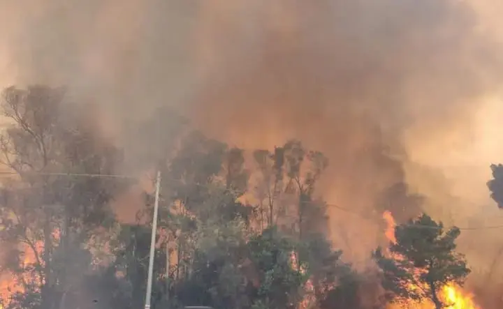 Incendi. Legambiente Sicilia chiede l’intervento dell’esercito