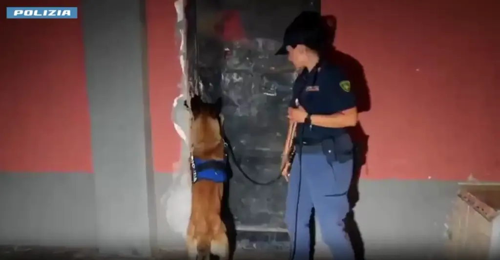 Catania, blitz antidroga: 4 arresti di affiliati al clan Cappello-Bonaccorsi