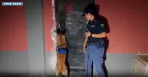 Catania, blitz antidroga: 4 arresti di affiliati al clan Cappello-Bonaccorsi