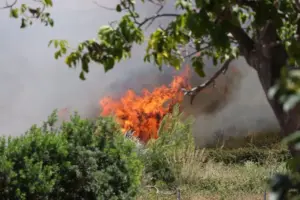 Incendi in Sicilia, l’emergenza rallenta ma resta alta l’allerta: oltre 1.400 interventi