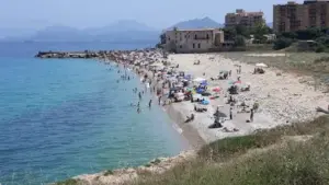 Alga tossica a Vergine Maria, Comune alla cittadinanza: “Nessun divieto di balneazione, ma attenzione”