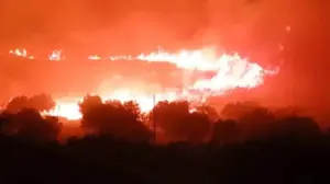 Caldo record e incendi devastanti in Sicilia: morto un vigile del fuoco