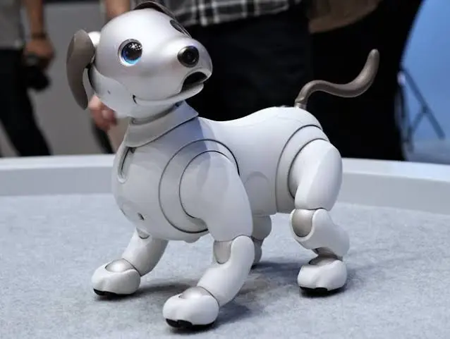 Animali e tecnologia: robot, intelligenza artificiale e nuove frontiere della tutela