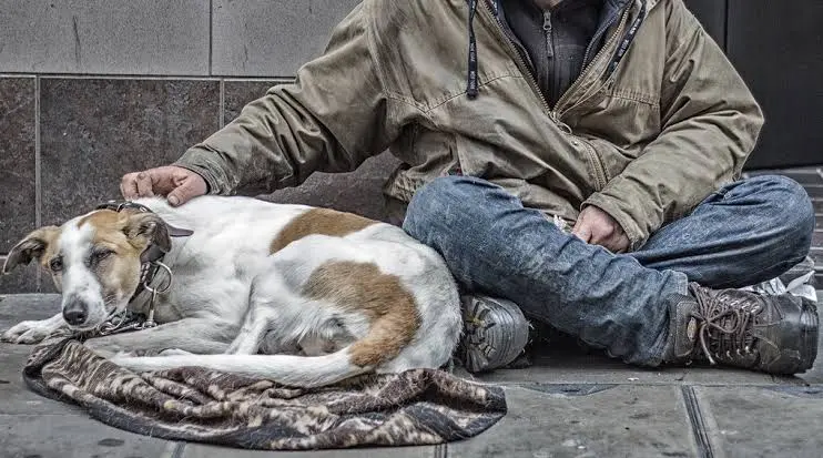 L’importanza di cani e gatti per chi vive per strada: affetto, protezione e bisogno di tutele