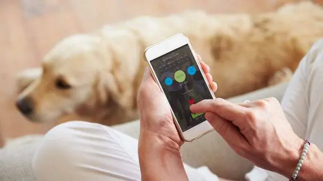 La tecnologia al servizio degli animali: come dispositivi smart e app migliorano la vita dei nostri pet