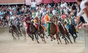 Tradizione o sfruttamento? Il dibattito sul ruolo dei cavalli negli eventi pubblici