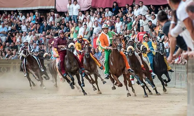 Tradizione o sfruttamento? Il dibattito sul ruolo dei cavalli negli eventi pubblici