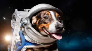 Dalla Terra allo spazio: la storia dimenticata degli animali astronauti