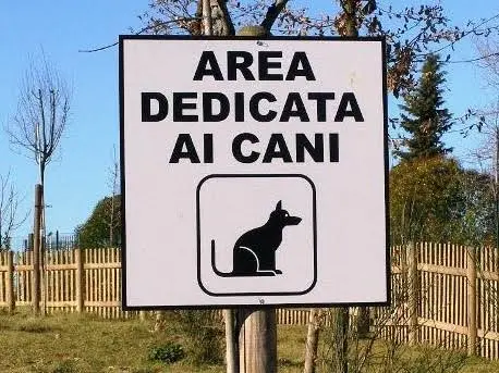 Il diritto degli animali alla città: stanno cambiando le nostre regole urbane