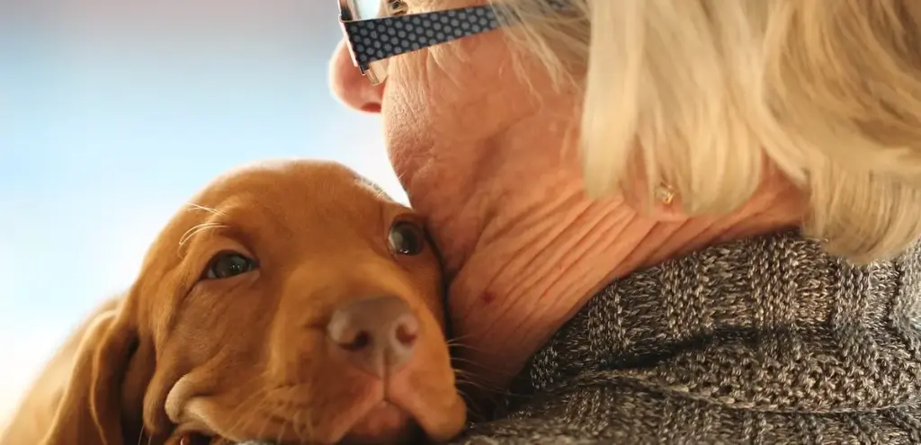 Animali e solitudine umana: perché sempre più persone scelgono un compagno a quattro zampe