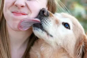 Perché il cane lecca le persone? Cosa vuole comunicare con questo gesto