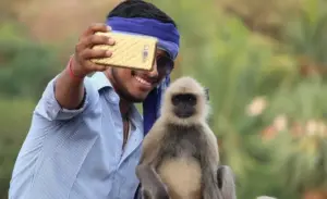 Il turismo degli animali selvatici: quando fotografare può diventare un problema
