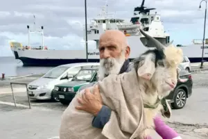 Pongo, il capretto salvato a Stromboli ora ha una famiglia