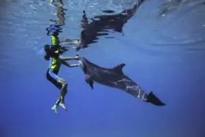Gli animali possono riconoscere una persona dopo anni? La sorprendente memoria delle specie