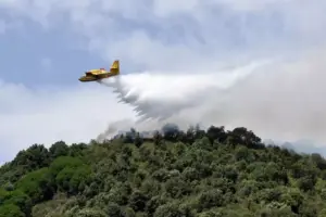 Incendi in Sicilia: diversi roghi nel Palermitano, Trapanese e Catanese