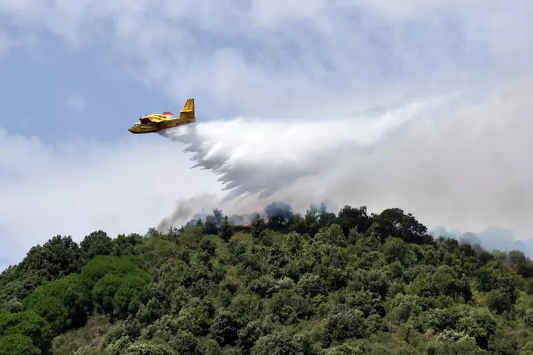Incendi in Sicilia: diversi roghi nel Palermitano, Trapanese e Catanese