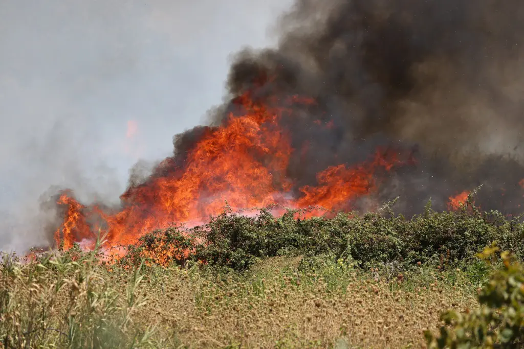 Incendi in Sicilia, resta l’allerta: morto a 26enne di Ciminna